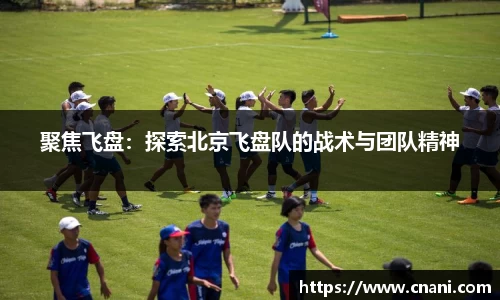 聚焦飞盘：探索北京飞盘队的战术与团队精神
